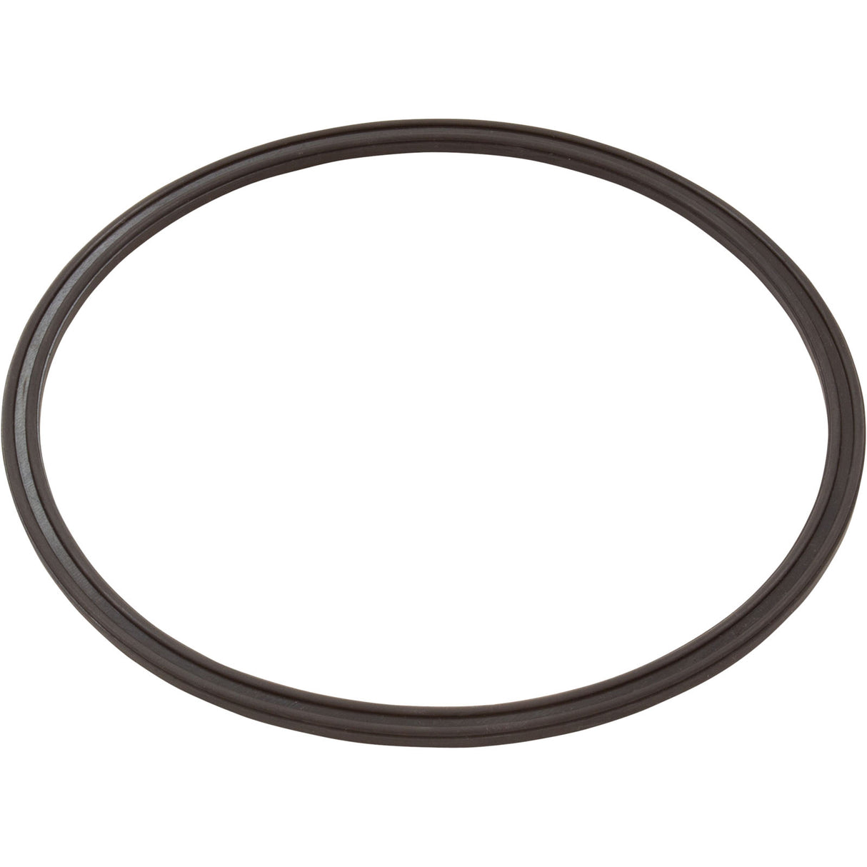 Leaf Catcher Seal, Zodiac Cyclonic Leaf Catcher : R0623300