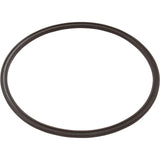 Leaf Catcher Seal, Zodiac Cyclonic Leaf Catcher : R0623300
