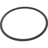 Leaf Catcher Seal, Zodiac Cyclonic Leaf Catcher : R0623300