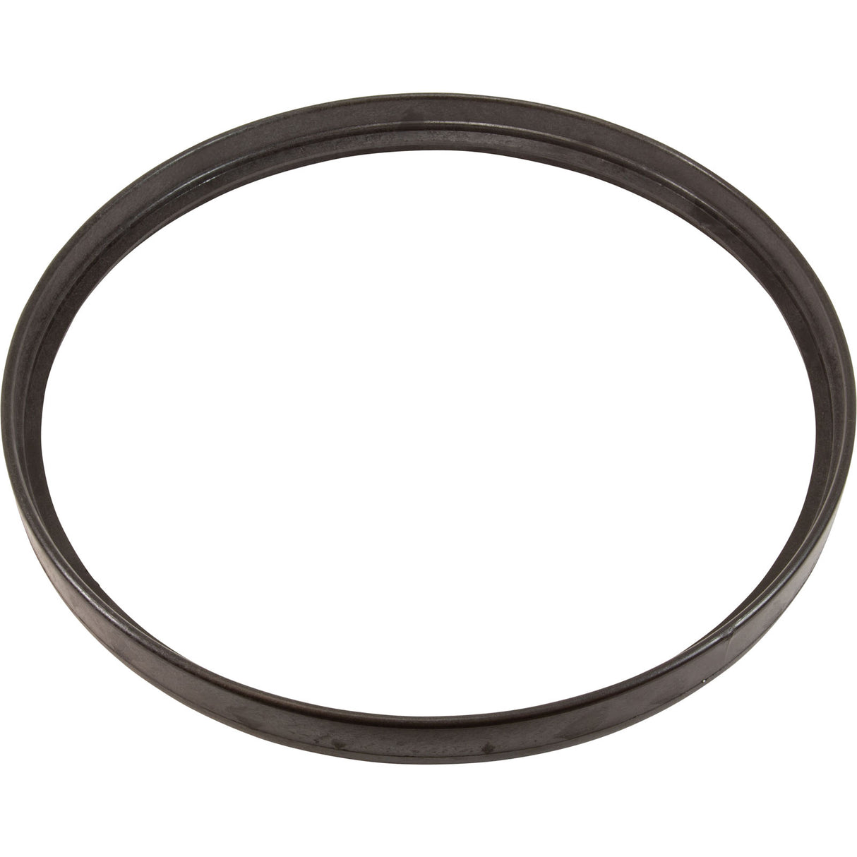 Ring, Hayward AquaBug Cleaner : AXV458 - Hayward - 0610377333757 - PartsForSpas.com