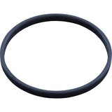Diaphragm Band, Hayward DV5000 : DCX334 - Hayward - 0610377140843 - PartsForSpas.com