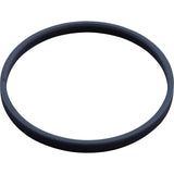 Diaphragm Band, Hayward DV5000 : DCX334 - Hayward - 0610377140843 - PartsForSpas.com
