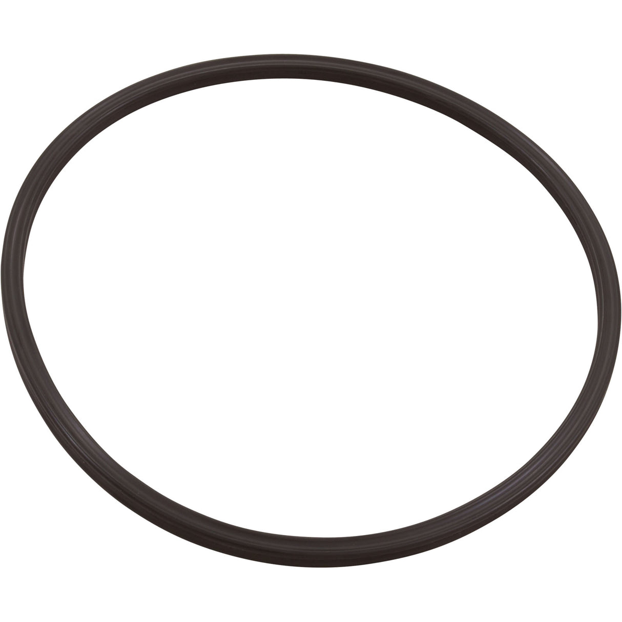 O-Ring, Paramount Leaf Canister, Lid : 005-152-0120-00