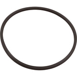 O-Ring, Paramount Leaf Canister, Lid : 005-152-0120-00