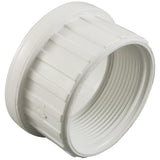Union Adapter, Pentair, 2" Female Buttress Thread : U11-199PZ - Pentair - 788379915872 - PartsForSpas.com