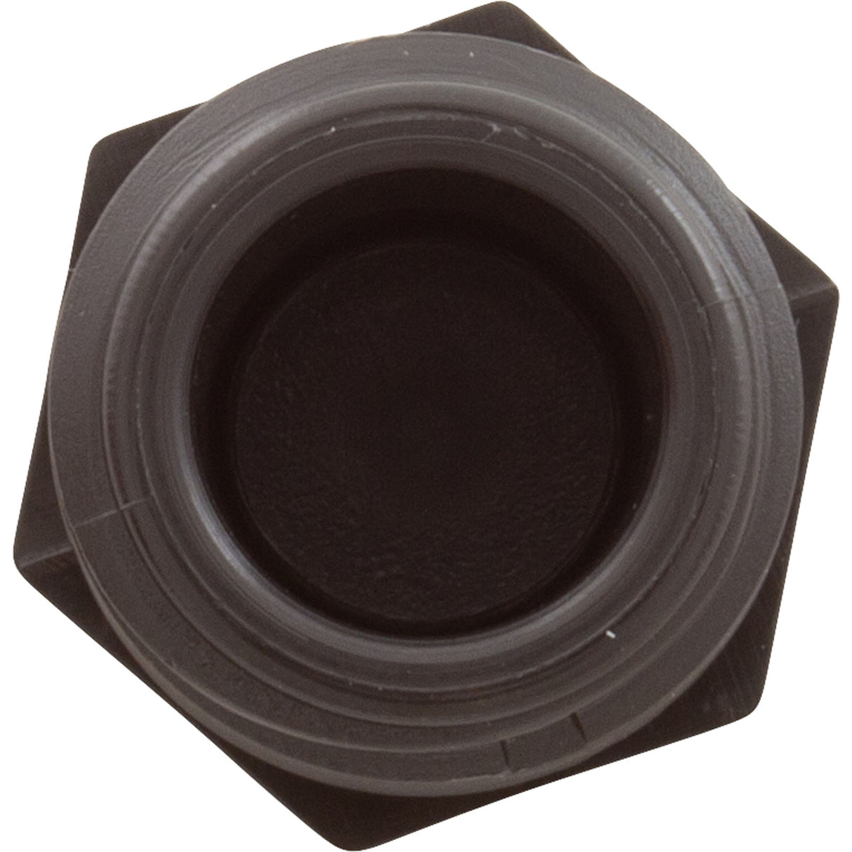 Plug, Aquastar ChemStar CH100, 1/2"mpt, PVC : CH1015 - AquaStar - 883612078441 - PartsForSpas.com