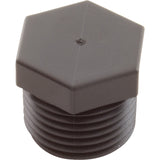 Plug, Aquastar ChemStar CH100, 1/2"mpt, PVC : CH1015 - AquaStar - 8.83612E+11 - PartsForSpas.com