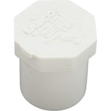 Plug, Lasco, 1/2" Spigot : 449-005