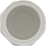 Plug, Lasco, 3/4" Spigot : 449-007