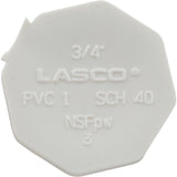 Plug, Lasco, 3/4" Spigot : 449-007