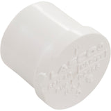 Plug, Lasco, 1" Spigot : 449-010