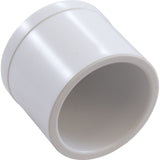 Plug, Lasco, 1-1/2" Spigot, White : 449-015