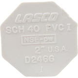 Plug, Lasco, 2" Spigot : 449-020