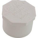 Plug, Lasco, 2" Spigot : 449-020