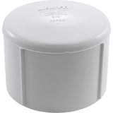 Cap, Lasco, 2-1/2" Female Pipe Thread : 448-025