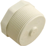 Plug, Lasco, 2" Male Pipe Thread : 450-020
