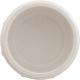 Plug, Lasco, 2-1/2" Male Pipe Thread : 450-025