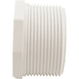 Plug, Lasco, 2-1/2" Male Pipe Thread : 450-025