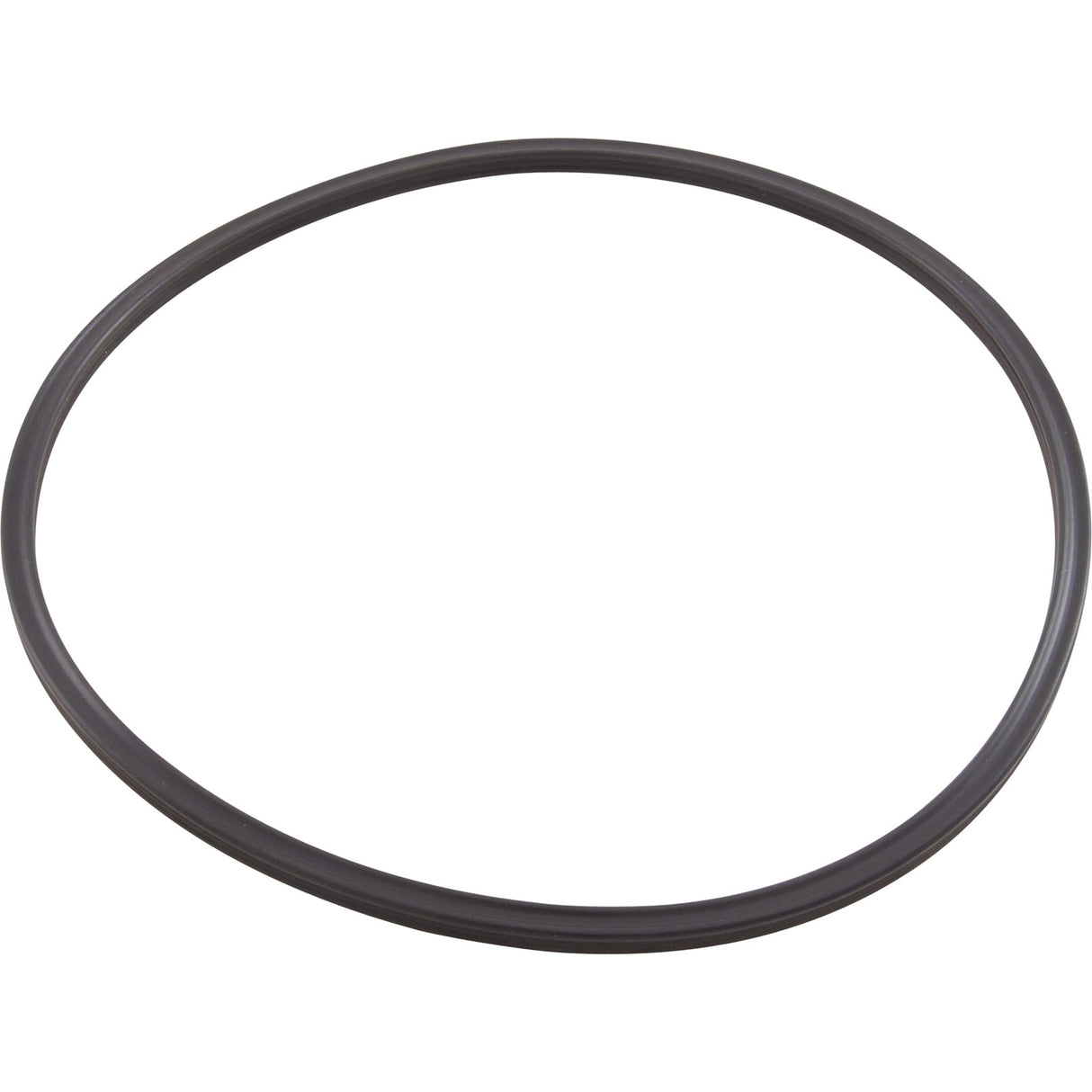 Quad Ring, Pentair Tagelus/Triton II, Valve Adapter : 152516