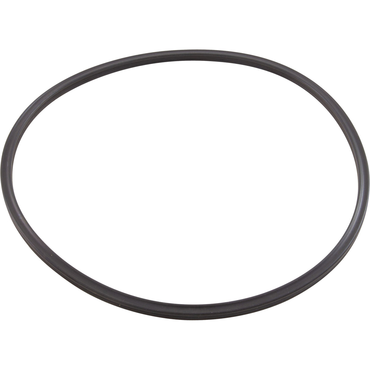 Quad Ring, Pentair Tagelus/Triton II, Valve Adapter : 152516