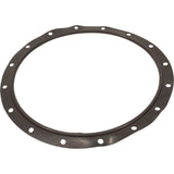Gasket, Lid, Astral, Vert Filters 47"/55"/63"/71"/79"/93" : 723R4140120