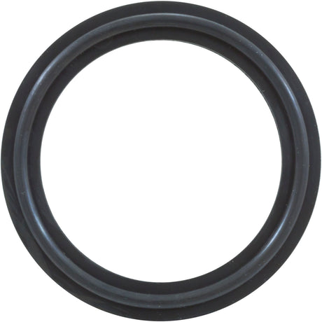 O-Ring/Gasket, Magic 2", Heater, Black : 0301229WSINGLE - Magic Plastics - 0301229WSINGLE - PartsForSpas.com