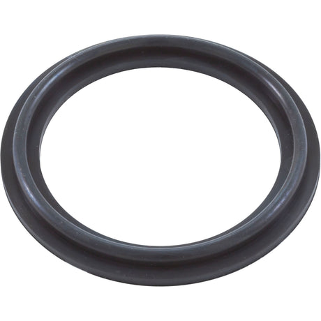O-Ring/Gasket, Magic 2", Heater, Black : 0301229WSINGLE - Magic Plastics - 0301229WSINGLE - PartsForSpas.com
