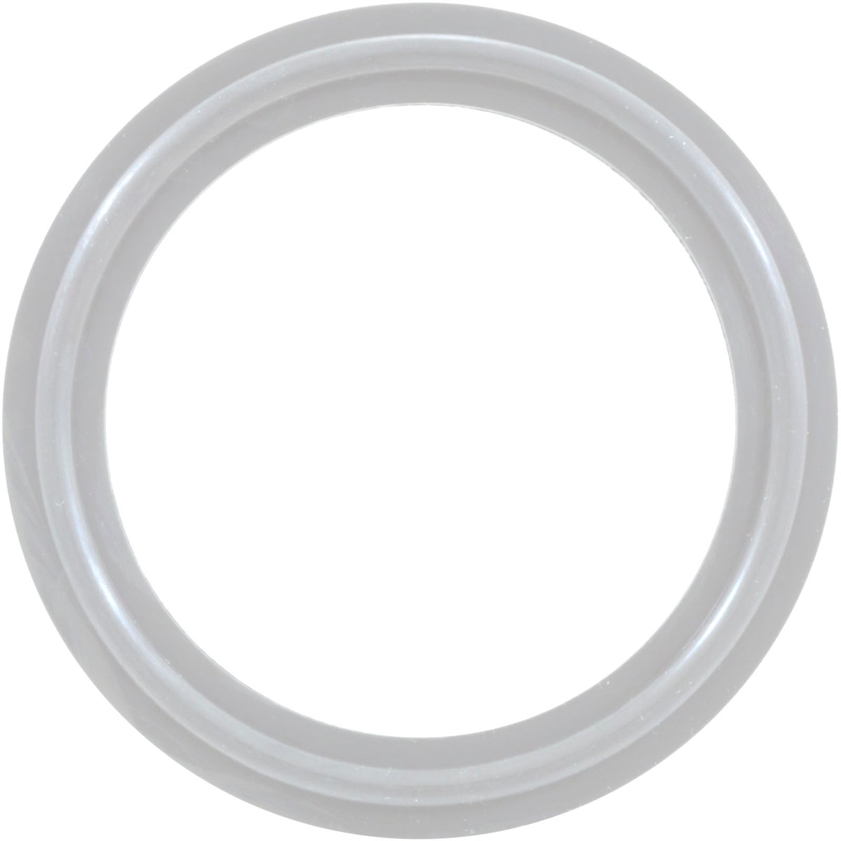 O-Ring/Gasket, Waterway 2", Heater : 711-4030