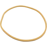 Gasket, American Prod Separtaion Tank, Lid, Generic :