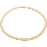 Gasket, Sta-Rite CK Pump, Seal Plate, Generic :