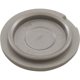 Hub Cap, Zodiac Polaris TR35P, Silver : R0615600
