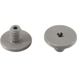 Retainer Screw, Zodiac Polaris Quattro™ P40/Sport, Slvr, 2 Pk : R0838800