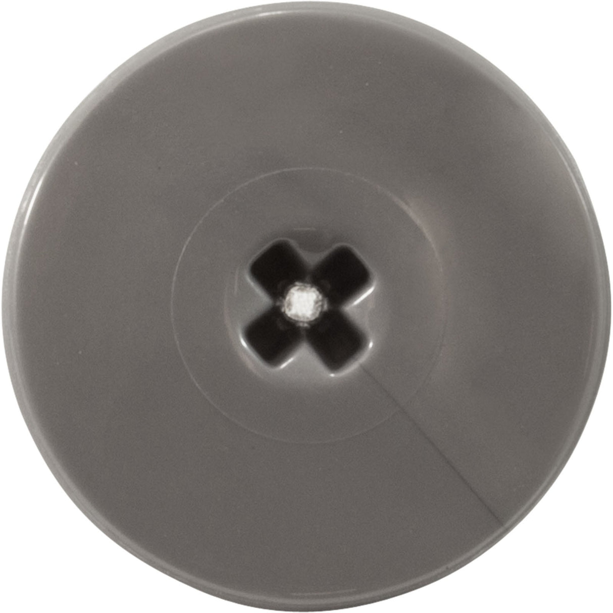 Retainer Screw, Zodiac Polaris Quattro™ P40/Sport, Slvr, 2 Pk : R0838800
