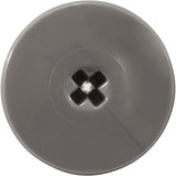 Retainer Screw, Zodiac Polaris Quattro™ P40/Sport, Slvr, 2 Pk : R0838800