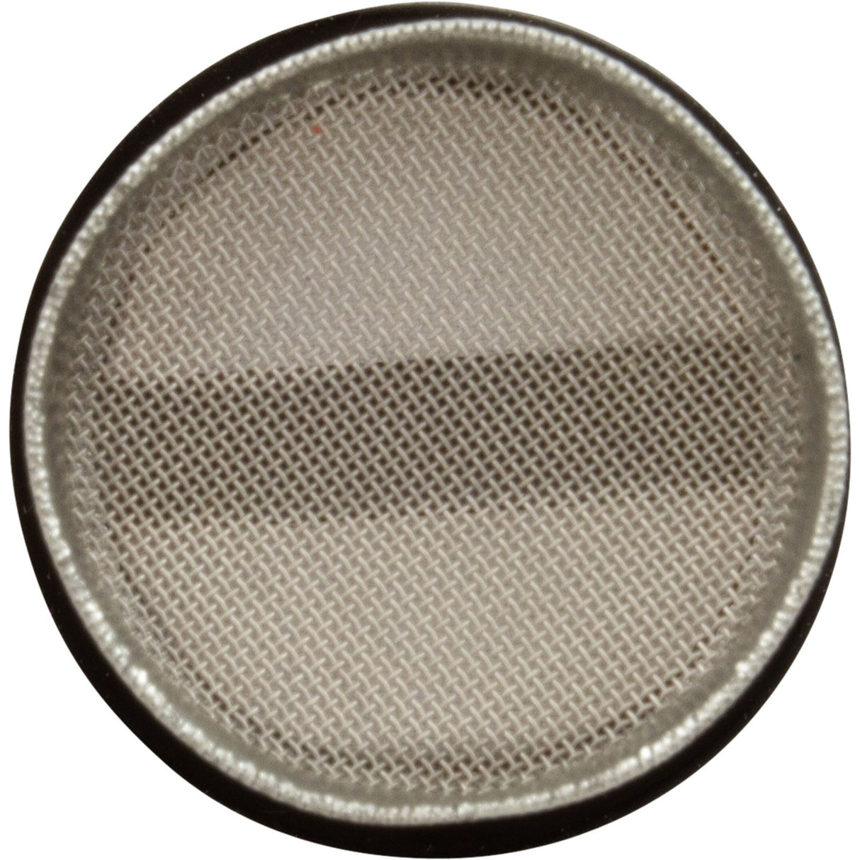 Wall Fitting Screen, Pentair L79BL Cleaner, 1-1/2" : EJVW2