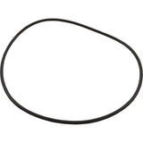 O-Ring, Hayward HCP, Flange : HCXP6016A