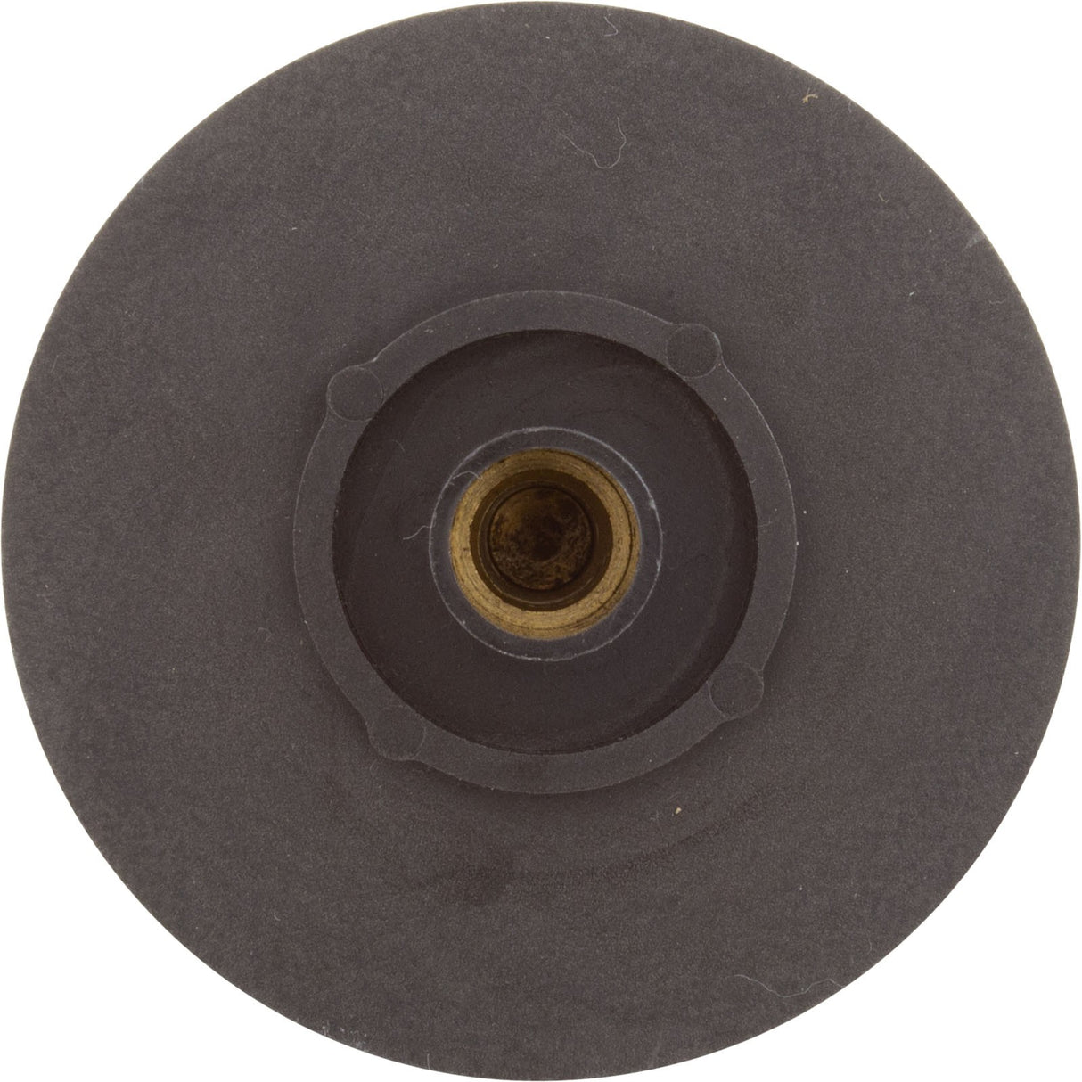 Impeller, Raypak Protege RPAGP75 : 018249F