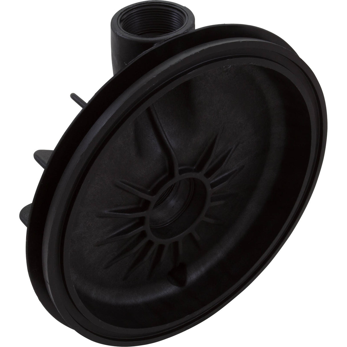 Volute, Pentair Sta-Rite DuraGlas : C176-47P1