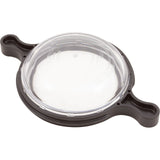 Cover Kit, Protege Raypak RPAGP, Clear : 018225F