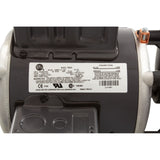 Pump, Circ, WW Iron Might, 1/15hp, 230v, 48fr, 50/60Hz, OEM : 3J10070-1E