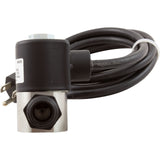 Valve-Stainless, 110 Vac, 3/8" : AC018 - Hayward - 0761418012107 - PartsForSpas.com