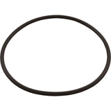 O-Ring, Hayward Leaf Canisters : AXW542