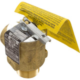 Relief Valve Cz, Hm2, Cps, Psg, Sg : CHXRLV1930 - Hayward - 0610377003179 - PartsForSpas.com