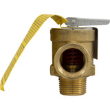 Relief Valve Cz, Hm2, Cps, Psg, Sg : CHXRLV1930 - Hayward - 0610377003179 - PartsForSpas.com