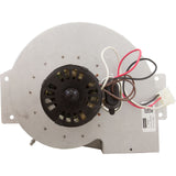 Combustion Blower, 110V : IDXLBWR1931 - Hayward - 0610377803007 - PartsForSpas.com