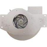 Combustion Blower, 110V : IDXLBWR1931 - Hayward - 0610377803007 - PartsForSpas.com