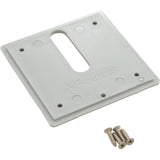 Jandy Pro Series Minijet Cover Plate, Screws, Dove Gray : MJ6320