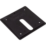 Jandy Pro Series Minijet Cover Plate, Screws, Black : MJ6350