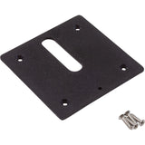 Jandy Pro Series Minijet Cover Plate, Screws, Black : MJ6350
