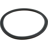 Gasket, Rim 11" Harmsco 550 : O-290